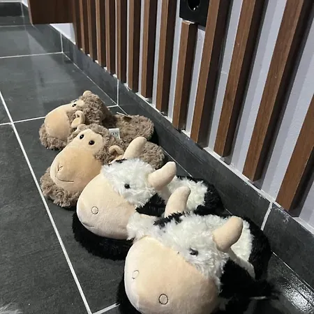 Apartman Satisfaction شقة